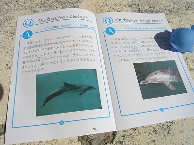 P1010017.jpg