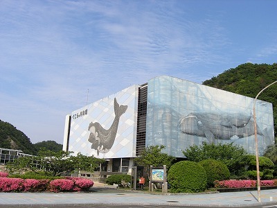 P1010411.jpg
