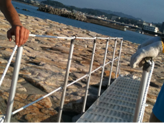 image-20110706112730.png